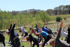 Yoga in the Vines - Accommodation Sydney